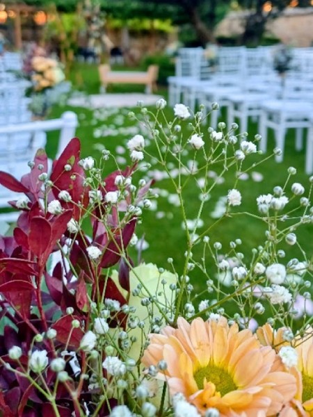 Instalaciones Delicatto
