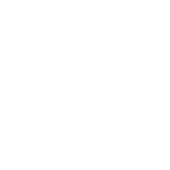 Delicatto, el taller de los sueños